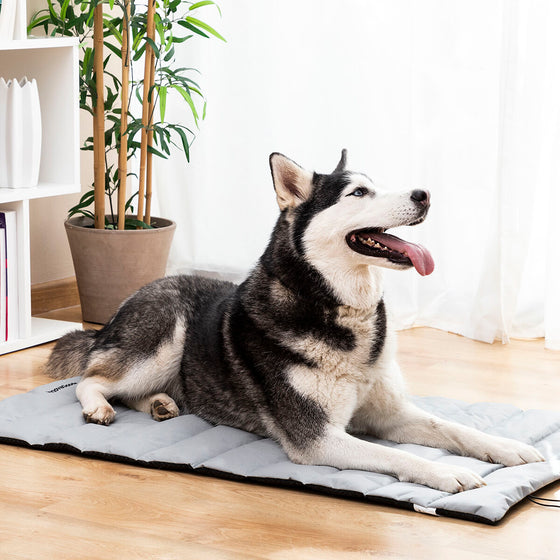 Cama Portátil Impermeable para Mascotas Huismat InnovaGoods