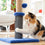 Poste Rascador Masajeador con Pelota para Gatos Miausage InnovaGoods