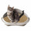 Arenero para Gatos Georplast GP10536 58 x 48 x 20,5 cm (8 Unidades)