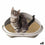Arenero para Gatos Georplast GP10536 58 x 48 x 20,5 cm (8 Unidades)