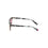 Gafas de Sol Mujer WEB EYEWEAR WE0264-5555Y ø 55 mm